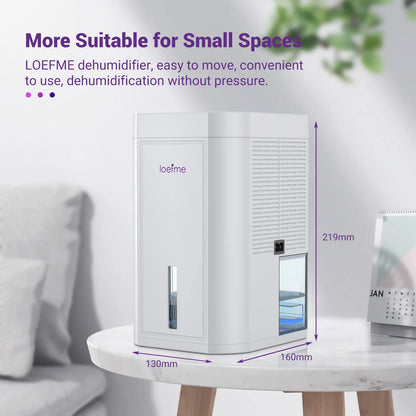 LOEFME 1L Tank Capacity Electric Dehumidifier for Home Condensation Moisture with Timer Silent Low Noise 35dB