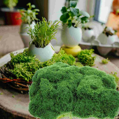 1 Set of Potted Plants Moss Decors Artificial Moss Ornaments DIY Fake Moss Decorative Moss Adornments for Crafts Plants Indoor