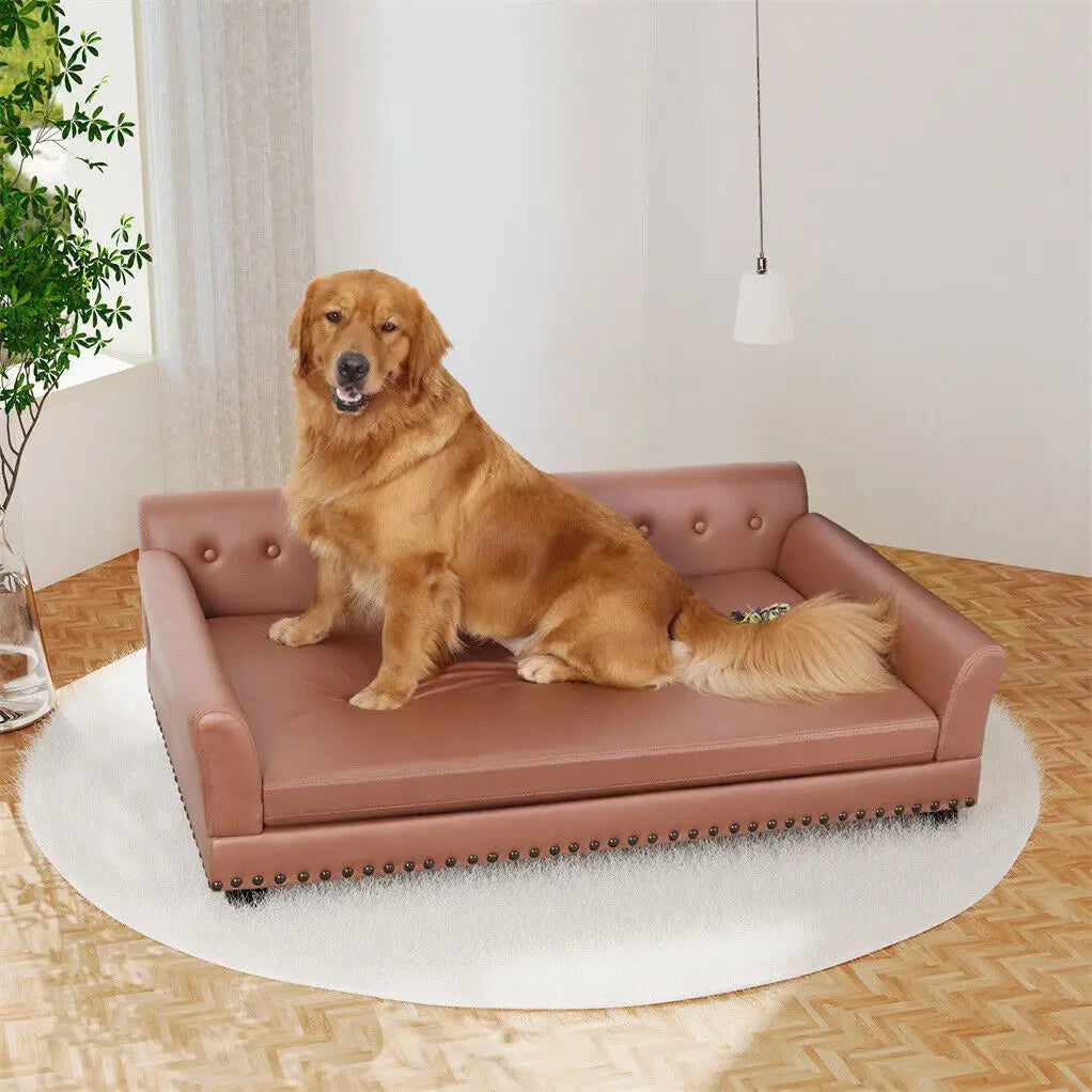 XX-Large Dog Couch Luxury Elevated Pet Sofa Bed Waterproof Sofa-type Dog Cat Snuggle Lounge Chair Wear-resistant