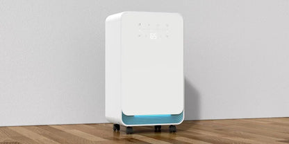 New Design Lower Noise 10L/D Air Purifier Compressor Dehumidifier OEM Portable Home Dehumidifiers With Smart Features