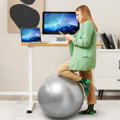 GOFLAME Electric Standing Desk, Ergonomic Sit Stand Computer Desk, Built-in Cable Management Hole, Button Controller