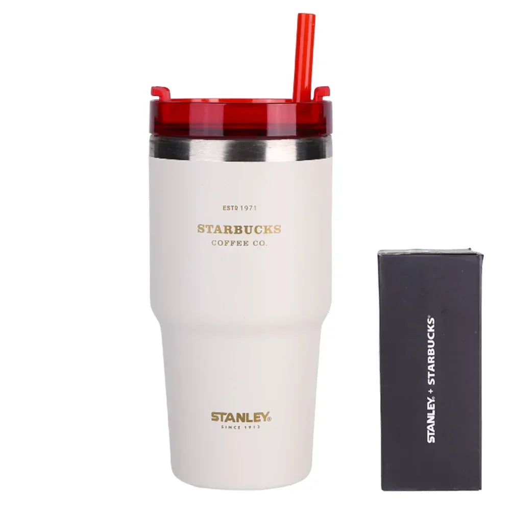 20Oz Insulated Water Cup With Straw 304 Stainless Steel Travel Mug 591ML Tumbler Thermos Water Bottle For Business Trip Sports