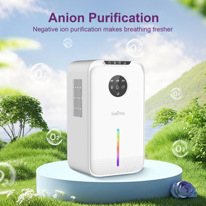 2.5L Large Dehumidifier Portable Quiet Home Air Dryer for Mould Moisture Damp++ Large Water Tank LED Display