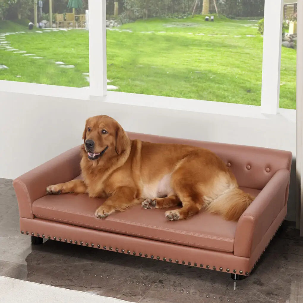 XX-Large Dog Couch Luxury Elevated Pet Sofa Bed Waterproof Sofa-type Dog Cat Snuggle Lounge Chair Wear-resistant