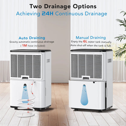 30L/Day Dehumidifier for Home, 6L Tank, Smart Digital Control, Auto Shut-Off, Energy-Efficient Dehumidifiers, Perfect for Rooms