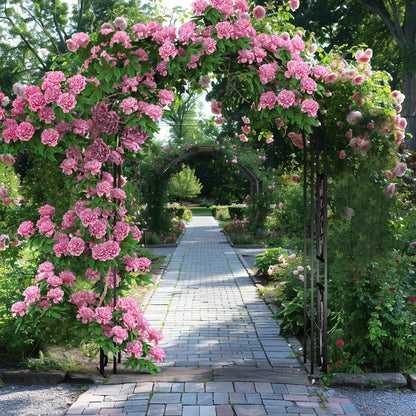 Outdoor Metal Garden Arch Trellis, Gothic Arbor for Wedding Ceremony, Climbing Plants Frame Stand Support, Tall 85"