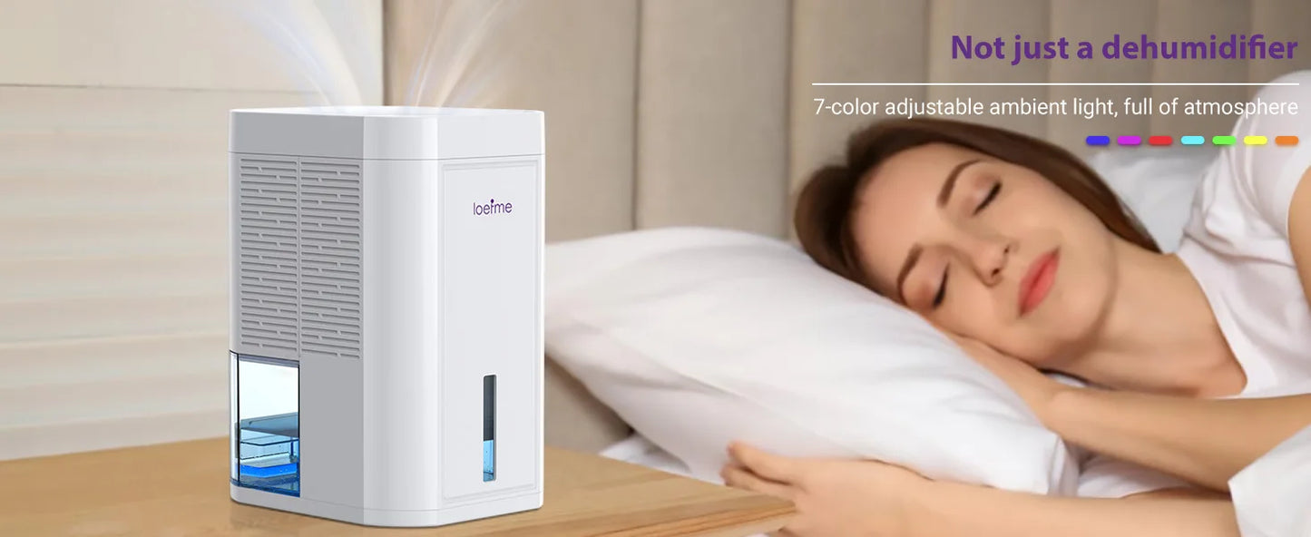 LOEFME 1L Tank Capacity Electric Dehumidifier for Home Condensation Moisture with Timer Silent Low Noise 35dB