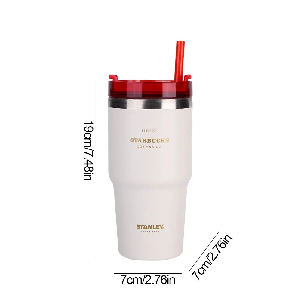 20Oz Insulated Water Cup With Straw 304 Stainless Steel Travel Mug 591ML Tumbler Thermos Water Bottle For Business Trip Sports