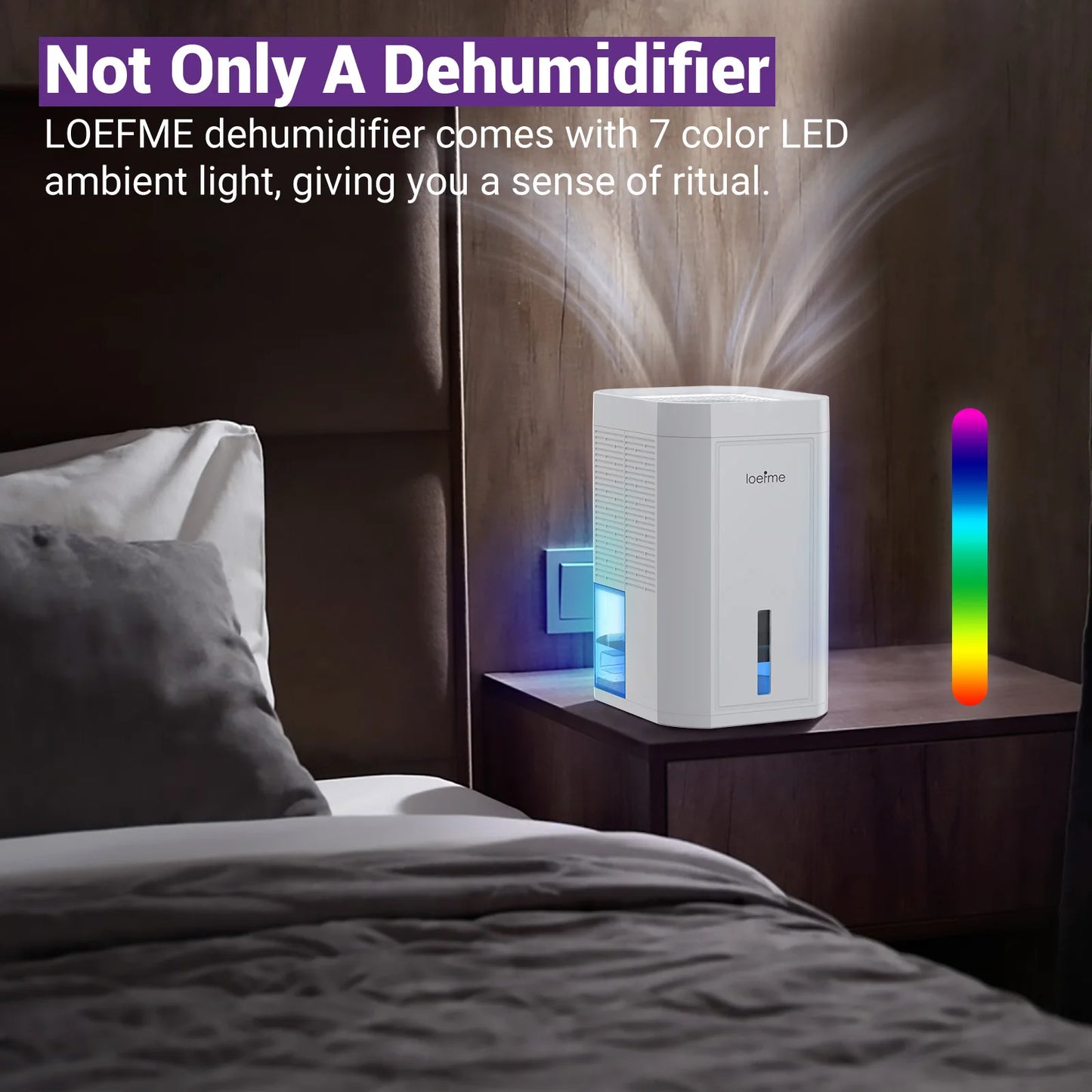 Electric Home Dehumidifier Multi-capacity For Damp, Condensation, Mould, Smells,Defrost Portable Quiet