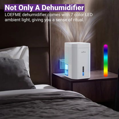 Electric Home Dehumidifier Multi-capacity For Damp, Condensation, Mould, Smells,Defrost Portable Quiet