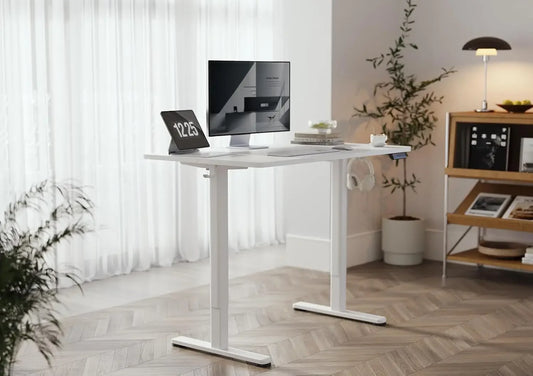 Electric Standing Desk 120x60 cm, Height Adjustable Desk with Cable Management,  with Memory Function