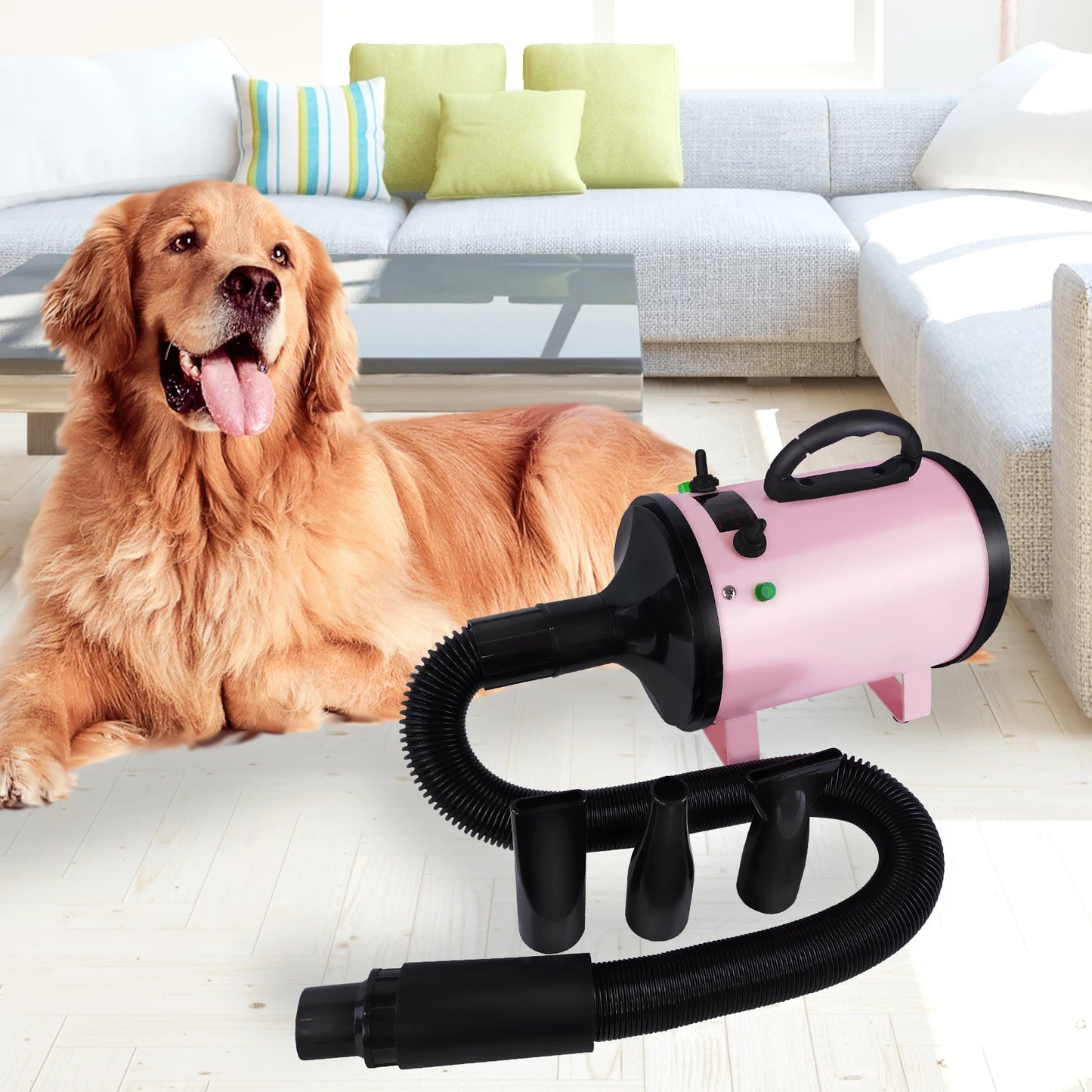 2800W Pet Dog Cat Grooming Hair Dryer Hairdryer Blaster Blower Low Noise Washer Heater with 2.5M Hose 3 Different Nozzles