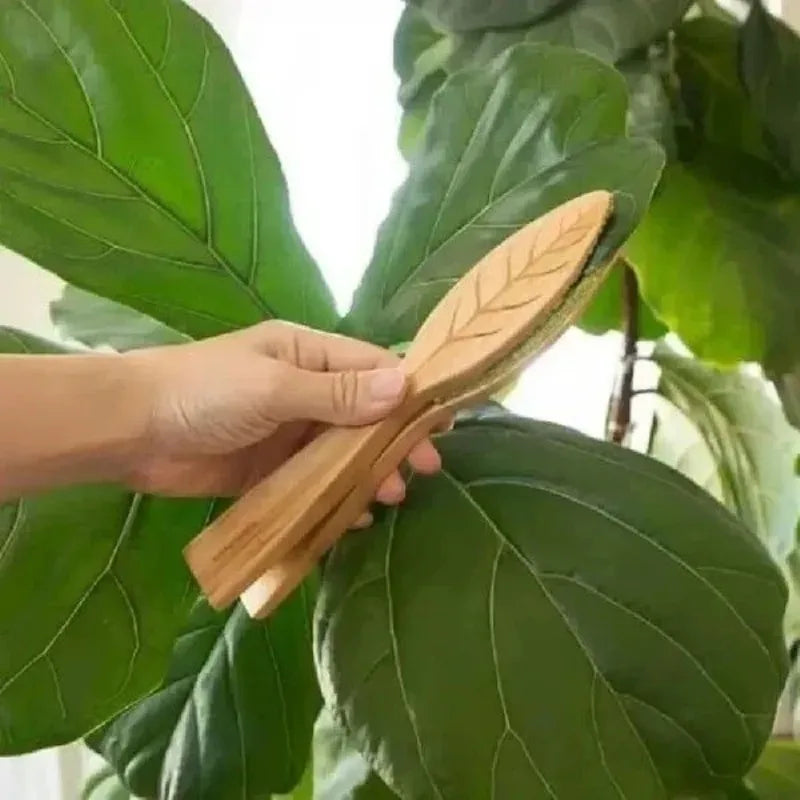 1-4PCS Leaf Cleaner Plant Leaf Dust Removal Leaf-shaped Cleaning Brush Household Plant Cleaning Tool Wooden Leaf Cleaning Tongs