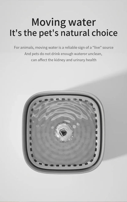 Smart Automatic Pet Drinking Fountain Large Capacity USB Electric Silent Filter Cat Drinking Fountain Cat Drinking Fountain