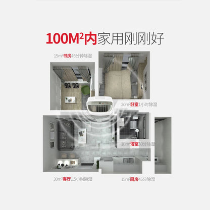 12L/D Intelligent Dehumidifier Timing Purify Air Dryer Machine Moisture Absorb Dryer Fit for 10-100m2