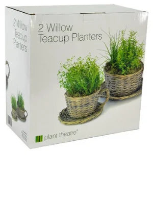 Plant Theatre 2 Willow Teacup Planters Gift Boxed